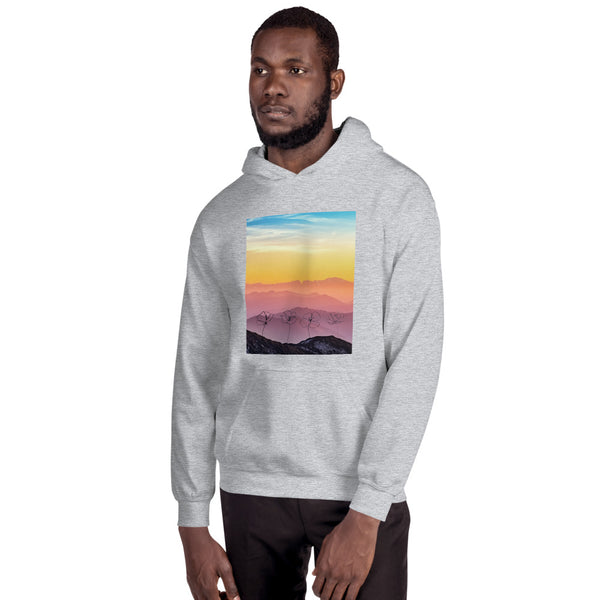 Sunset Quartet Unisex Hoodie